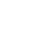 icon Pulizia