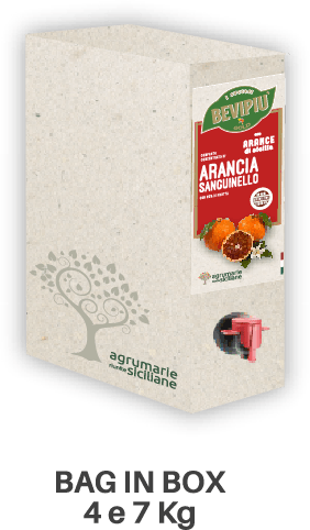 bag in box concentrati di frutta bevipiù